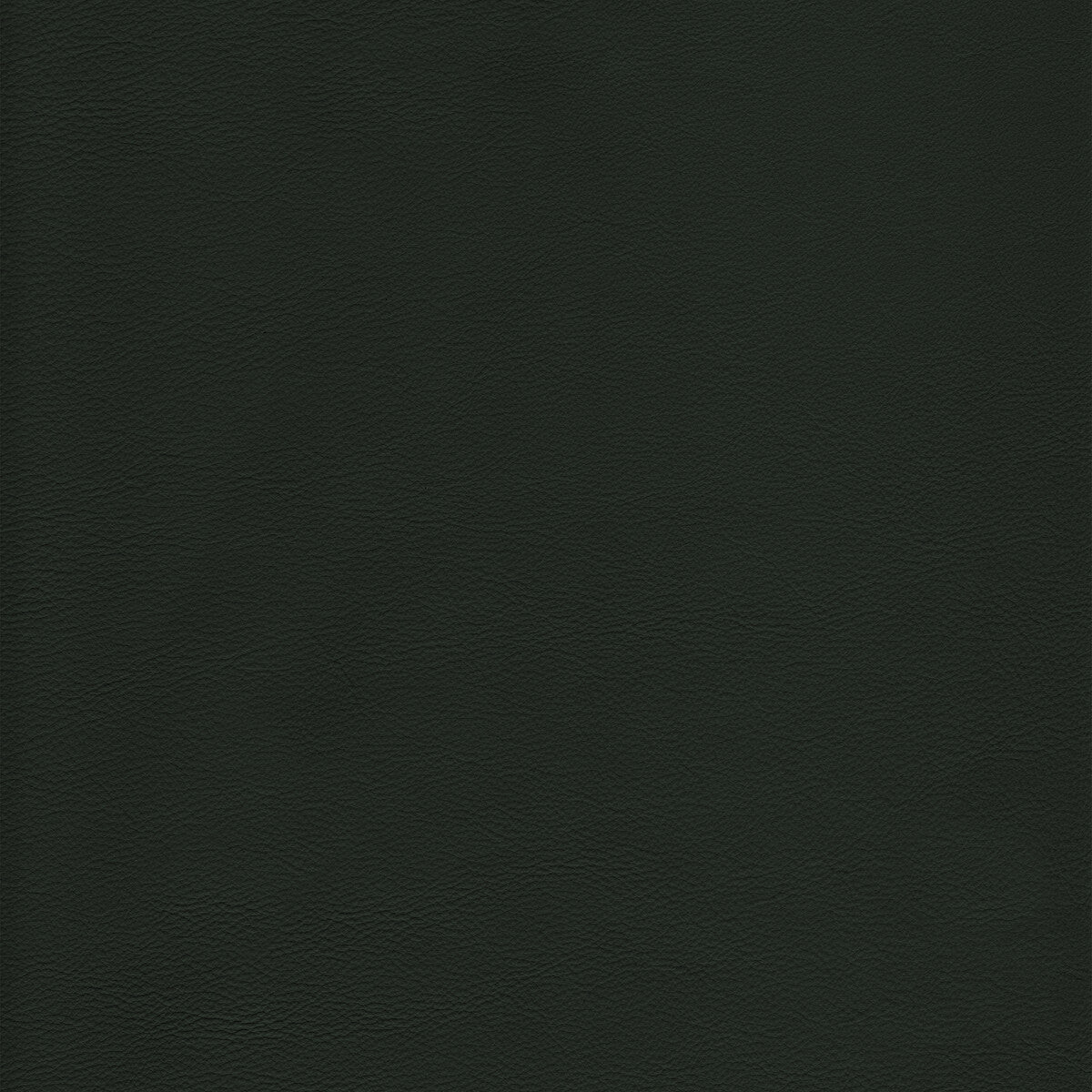 KRAVET DESIGN L-HOWDY.EVERGREEN.0 KRAVET DESIGN L-HOWDY-EVERGREEN Fabric - Eade's Wallpaper