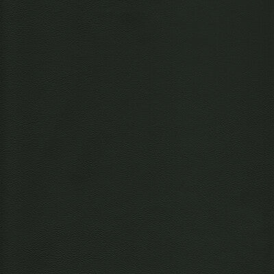 KRAVET DESIGN L-HOWDY.EVERGREEN.0 KRAVET DESIGN L-HOWDY-EVERGREEN Fabric - Eade's Wallpaper