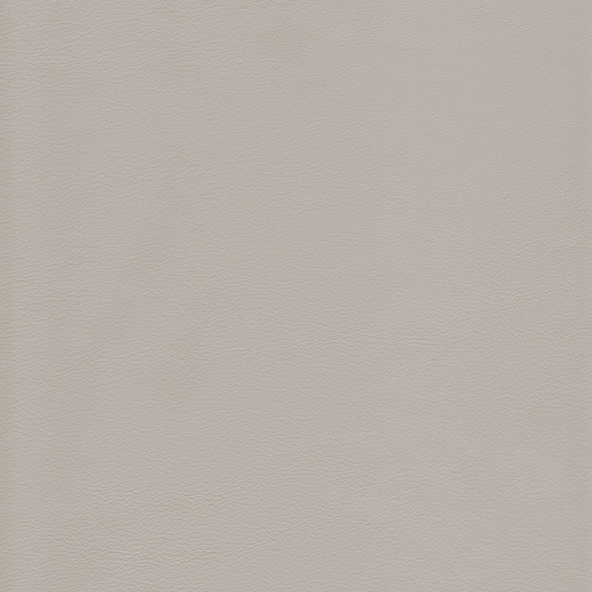 KRAVET DESIGN L-HOWDY.GREY.0 KRAVET DESIGN L-HOWDY-GREY Fabric - Eade's Wallpaper