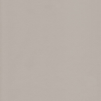 KRAVET DESIGN L-HOWDY.GREY.0 KRAVET DESIGN L-HOWDY-GREY Fabric - Eade's Wallpaper