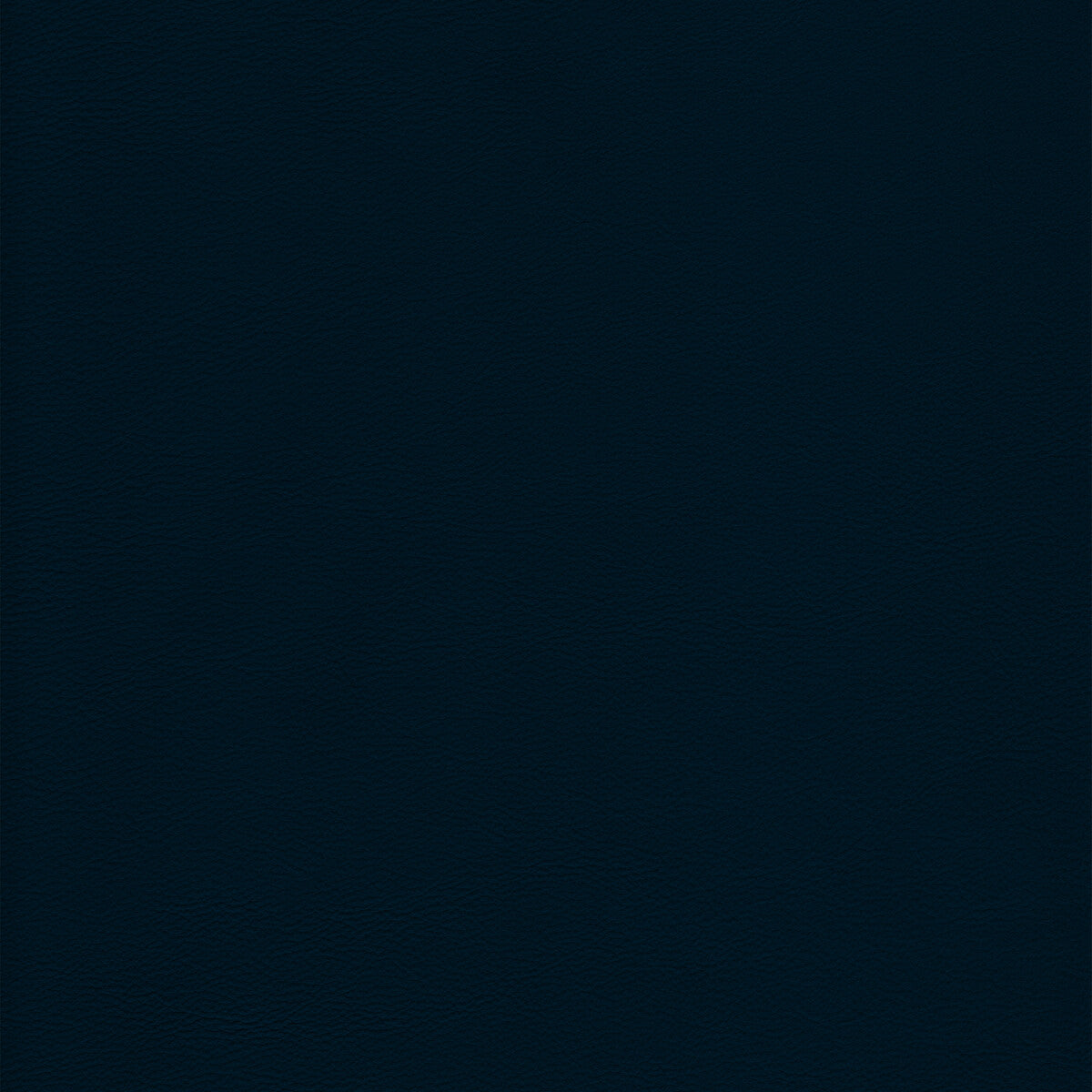 KRAVET DESIGN L-HOWDY.INDIGO.0 KRAVET DESIGN L-HOWDY-INDIGO Fabric - Eade's Wallpaper