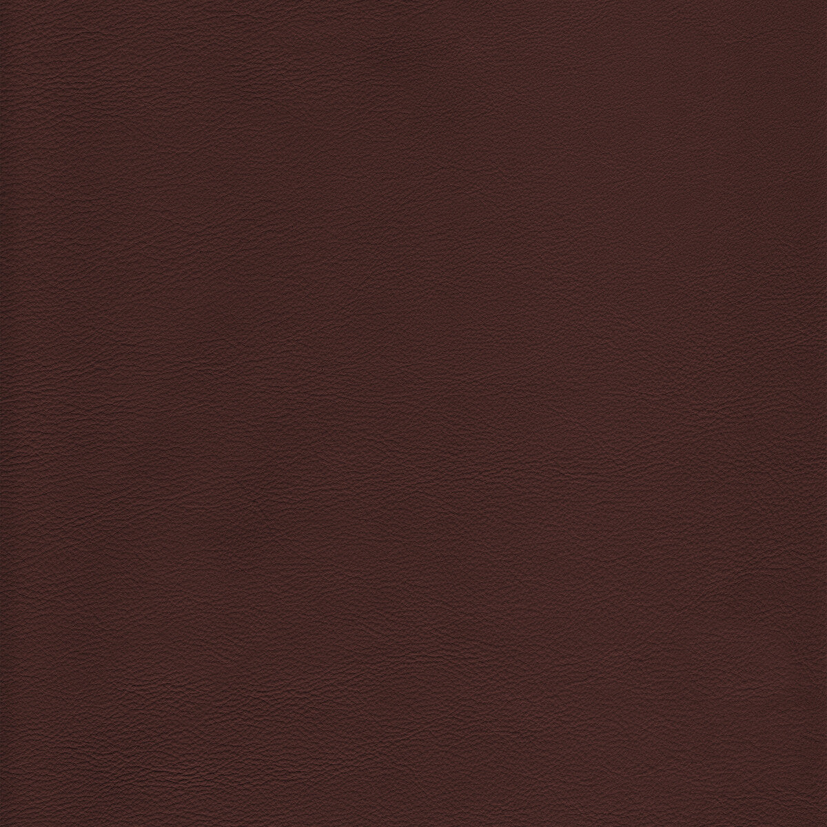 KRAVET DESIGN L-HOWDY.LATTE.0 KRAVET DESIGN L-HOWDY-LATTE Fabric - Eade's Wallpaper