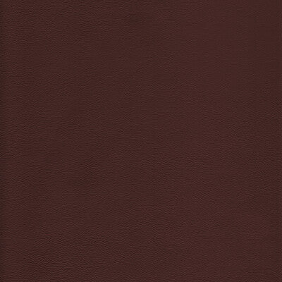 KRAVET DESIGN L-HOWDY.LATTE.0 KRAVET DESIGN L-HOWDY-LATTE Fabric - Eade's Wallpaper