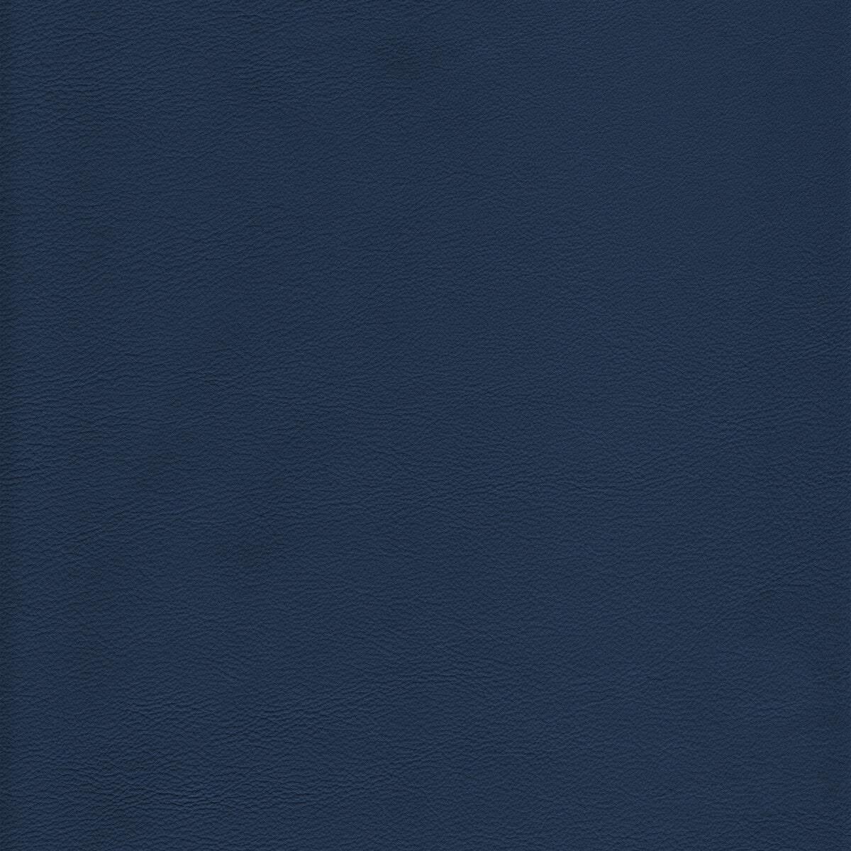 KRAVET DESIGN L-HOWDY.MARINE.0 KRAVET DESIGN L-HOWDY-MARINE Fabric - Eade's Wallpaper