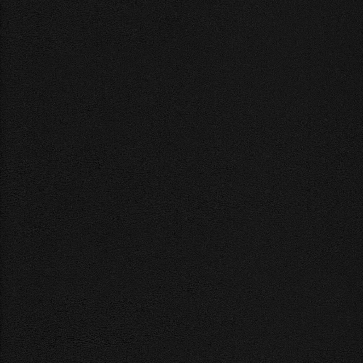 KRAVET DESIGN L-HOWDY.NOIR.0 KRAVET DESIGN L-HOWDY-NOIR Fabric - Eade's Wallpaper