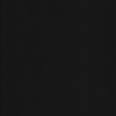 KRAVET DESIGN L-HOWDY.NOIR.0 KRAVET DESIGN L-HOWDY-NOIR Fabric - Eade's Wallpaper