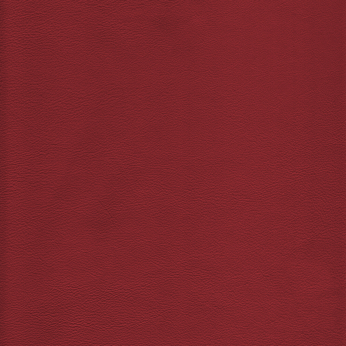 KRAVET DESIGN L-HOWDY.SALSA.0 KRAVET DESIGN L-HOWDY-SALSA Fabric - Eade's Wallpaper