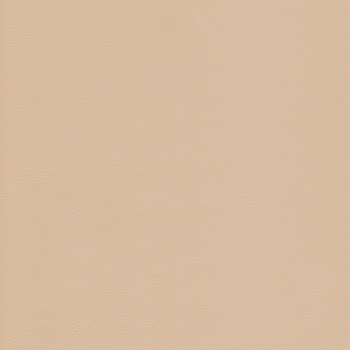 KRAVET DESIGN L-HOWDY.SAND.0 KRAVET DESIGN L-HOWDY-SAND Fabric - Eade's Wallpaper