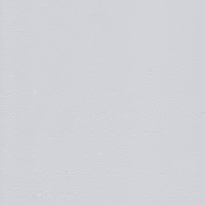 KRAVET DESIGN L-HOWDY.SEAL.0 KRAVET DESIGN L-HOWDY-SEAL Fabric - Eade's Wallpaper