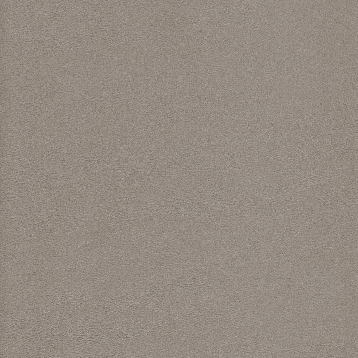 KRAVET DESIGN L-HOWDY.SLATE.0 KRAVET DESIGN L-HOWDY-SLATE Fabric - Eade's Wallpaper