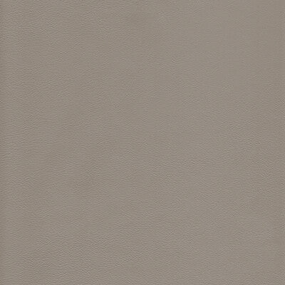 KRAVET DESIGN L-HOWDY.SLATE.0 KRAVET DESIGN L-HOWDY-SLATE Fabric - Eade's Wallpaper