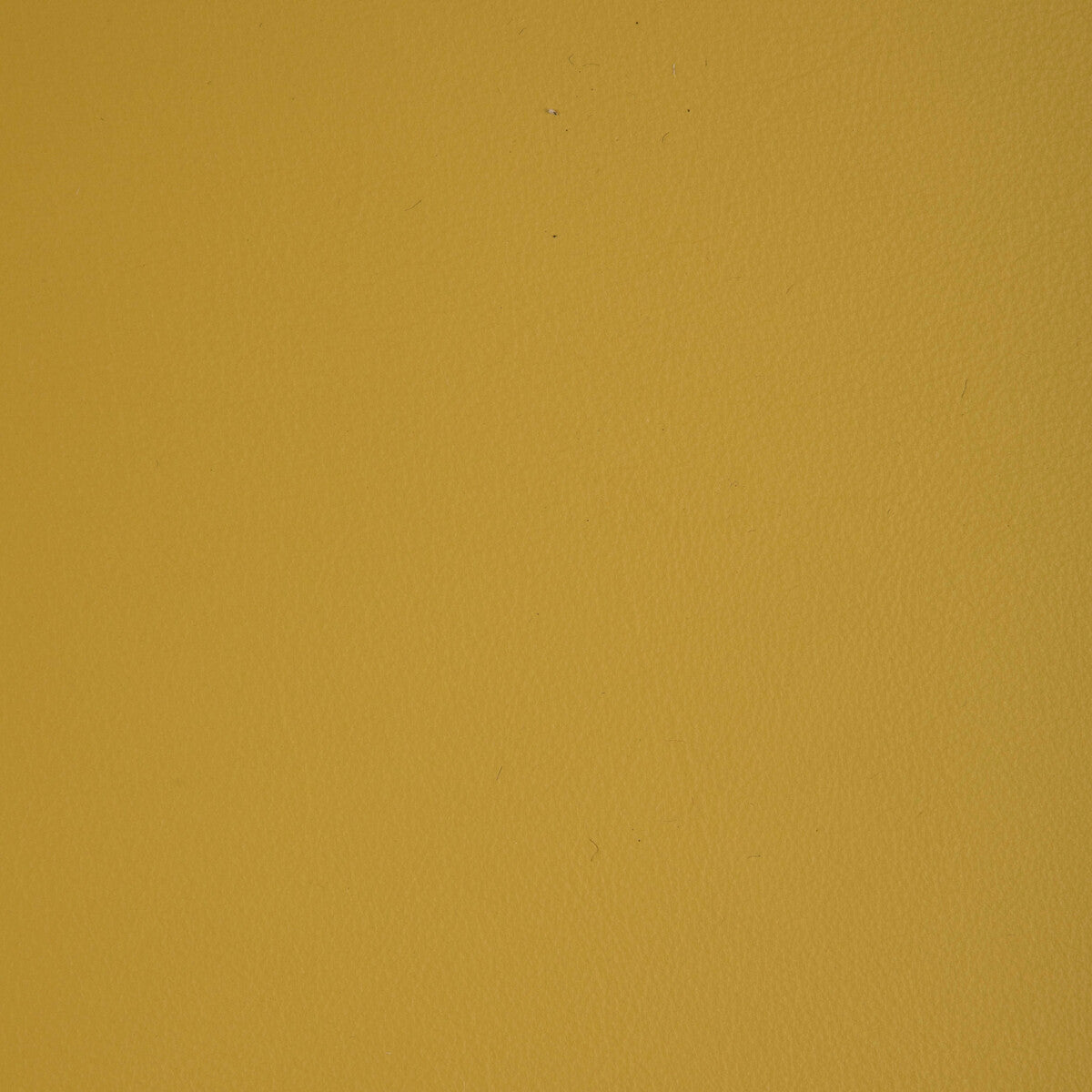 KRAVET DESIGN L-HOWDY.SUNSHINE.0 KRAVET DESIGN L-HOWDY-SUNSHINE Fabric - Eade's Wallpaper