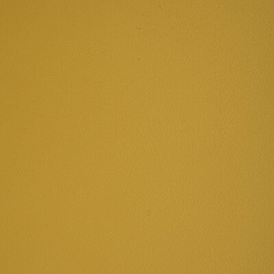 KRAVET DESIGN L-HOWDY.SUNSHINE.0 KRAVET DESIGN L-HOWDY-SUNSHINE Fabric - Eade's Wallpaper