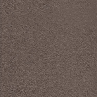 KRAVET DESIGN L-HOWDY.TAUPE.0 KRAVET DESIGN L-HOWDY-TAUPE Fabric - Eade's Wallpaper