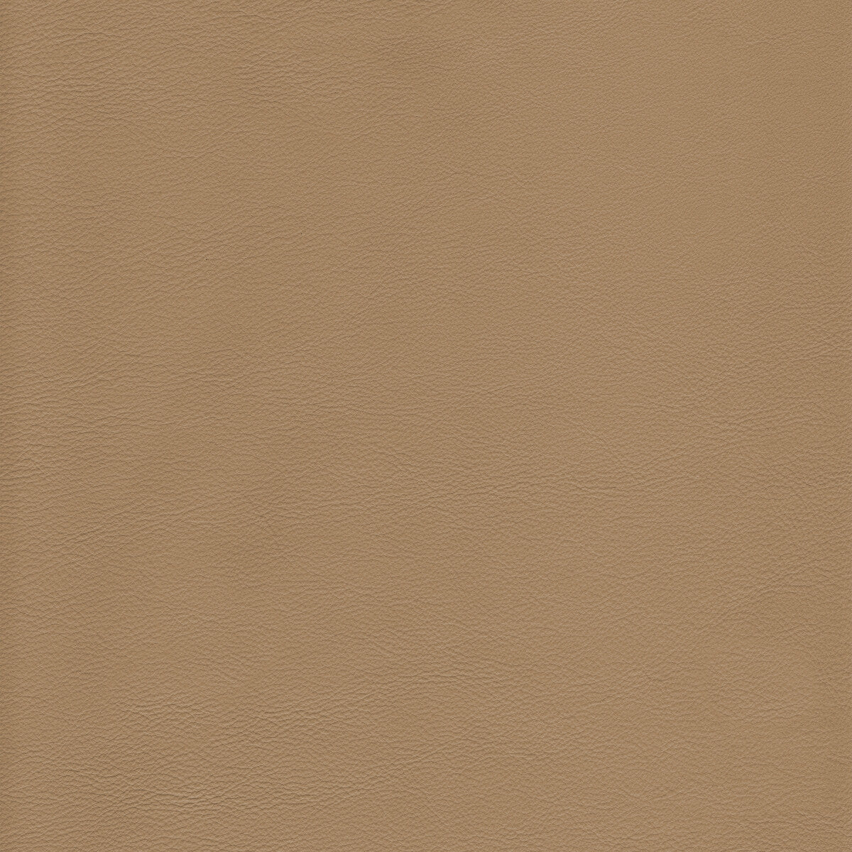 KRAVET DESIGN L-HOWDY.TEA.0 KRAVET DESIGN L-HOWDY-TEA Fabric - Eade's Wallpaper