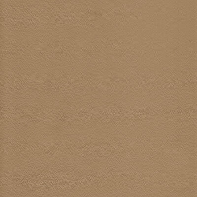 KRAVET DESIGN L-HOWDY.TEA.0 KRAVET DESIGN L-HOWDY-TEA Fabric - Eade's Wallpaper