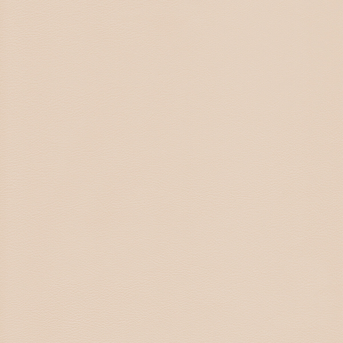 KRAVET DESIGN L-HOWDY.TUSK.0 KRAVET DESIGN L-HOWDY-TUSK Fabric - Eade's Wallpaper