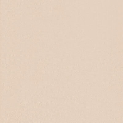 KRAVET DESIGN L-HOWDY.TUSK.0 KRAVET DESIGN L-HOWDY-TUSK Fabric - Eade's Wallpaper