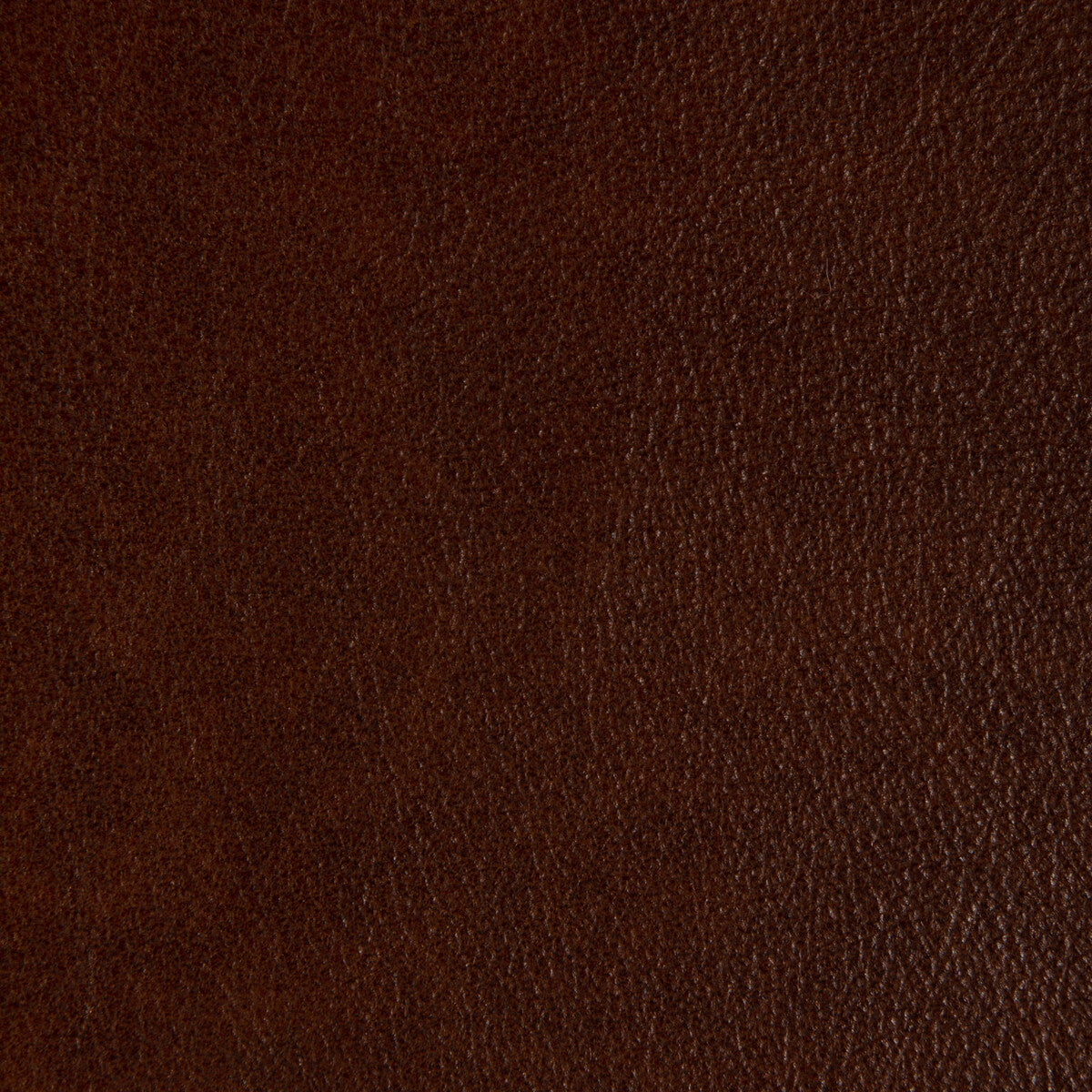 KRAVET DESIGN L-LARAMIE.TAWNY.0 KRAVET DESIGN L-LARAMIE-TAWNY Fabric - Eade's Wallpaper