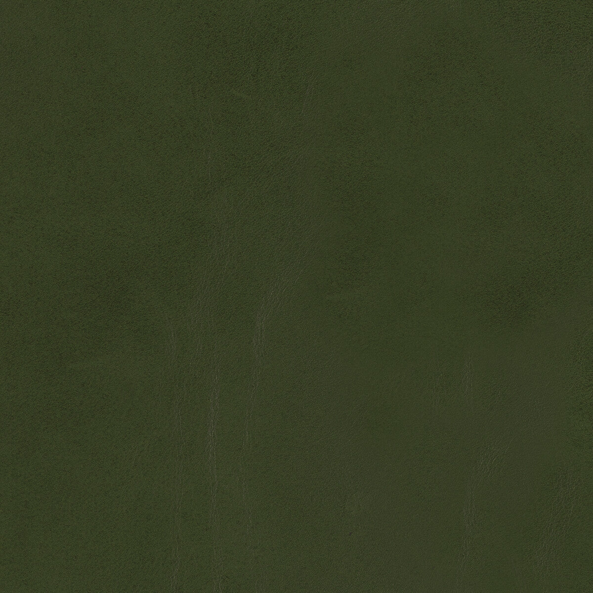 KRAVET DESIGN L-LOBO.LEAF.0 KRAVET DESIGN L-LOBO-LEAF Fabric - Eade's Wallpaper