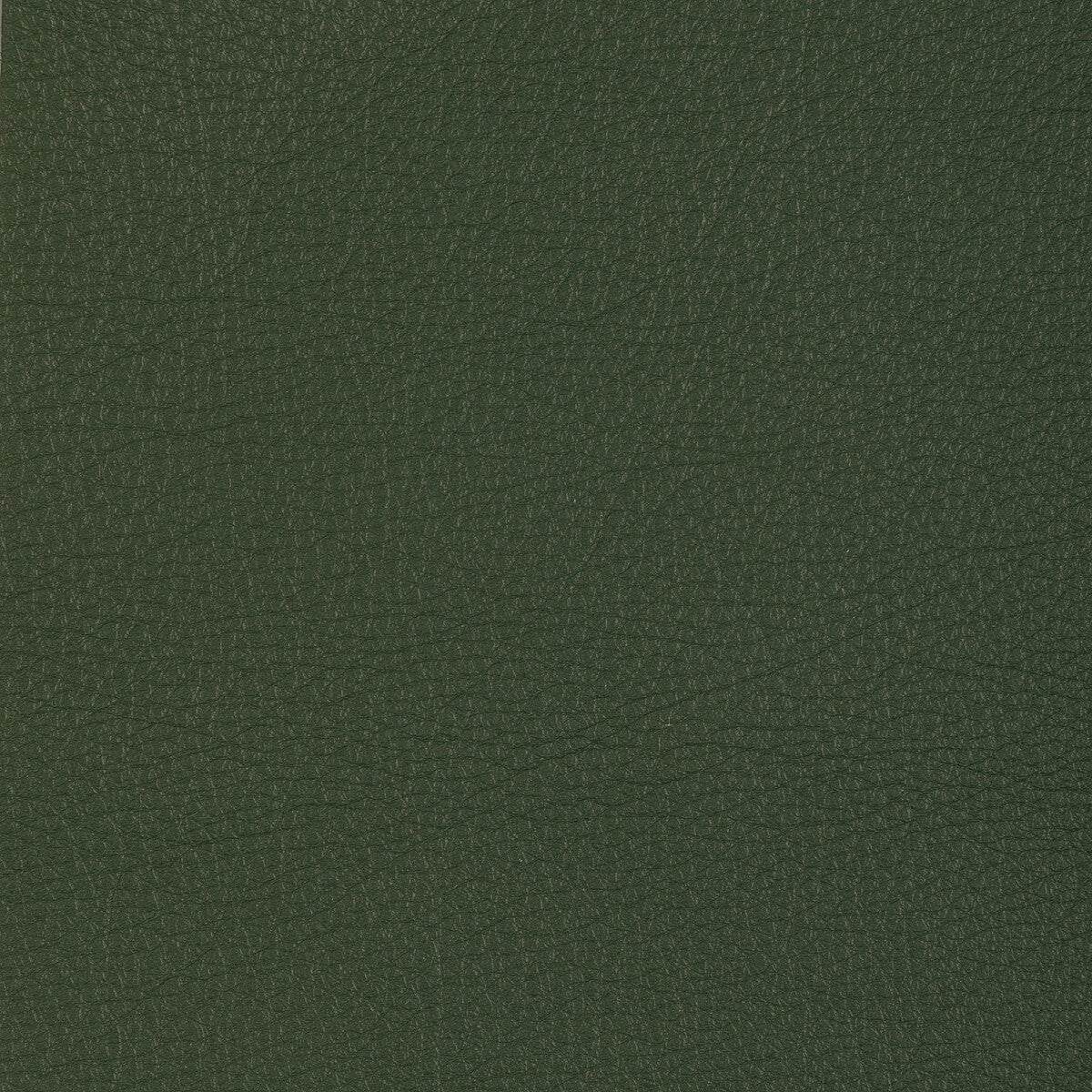 KRAVET DESIGN L-MANZANO.SAGE.0 KRAVET DESIGN L-MANZANO-SAGE Fabric - Eade's Wallpaper