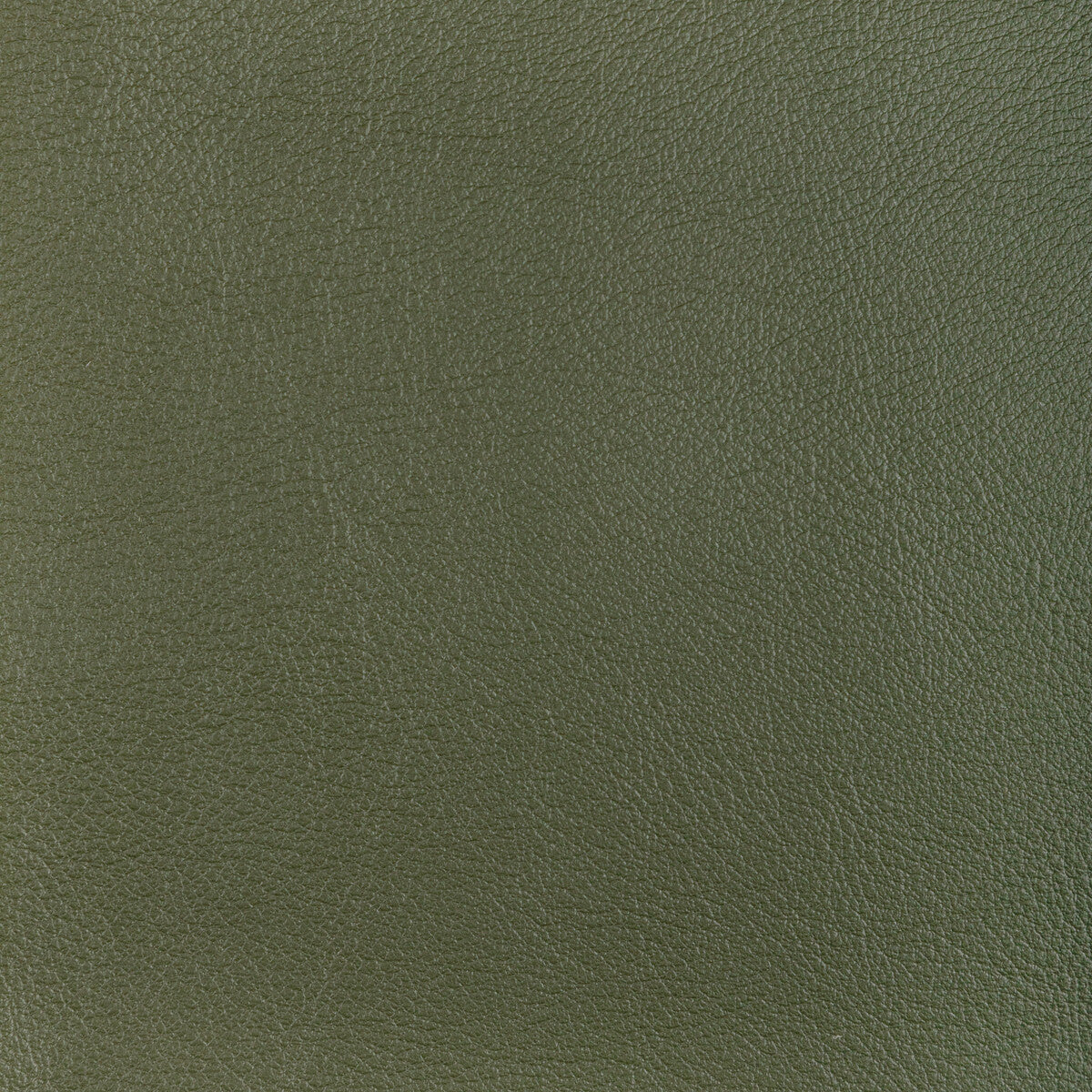 KRAVET DESIGN L-OCOTILLO.HUNTER.0 KRAVET DESIGN L-OCOTILLO-HUNTER Fabric - Eade's Wallpaper