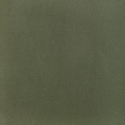 KRAVET DESIGN L-OCOTILLO.HUNTER.0 KRAVET DESIGN L-OCOTILLO-HUNTER Fabric - Eade's Wallpaper