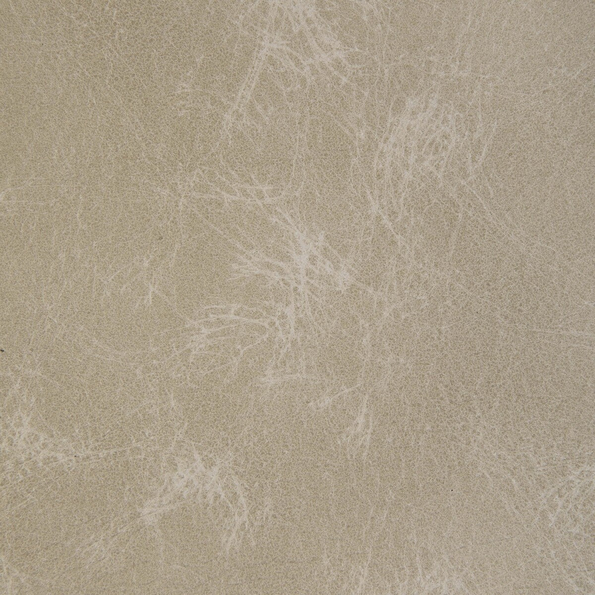 KRAVET DESIGN L-OVINE.BONE.0 KRAVET DESIGN L-OVINE-BONE Fabric - Eade's Wallpaper