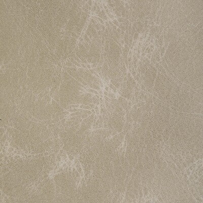KRAVET DESIGN L-OVINE.BONE.0 KRAVET DESIGN L-OVINE-BONE Fabric - Eade's Wallpaper