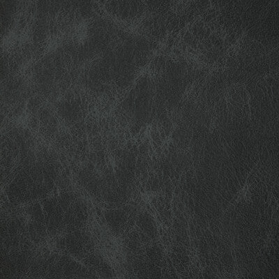 KRAVET DESIGN L-OVINE.CARBON.0 KRAVET DESIGN L-OVINE-CARBON Fabric - Eade's Wallpaper