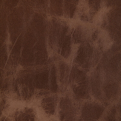 KRAVET DESIGN L-OVINE.CINNAMON.0 KRAVET DESIGN L-OVINE-CINNAMON Fabric - Eade's Wallpaper