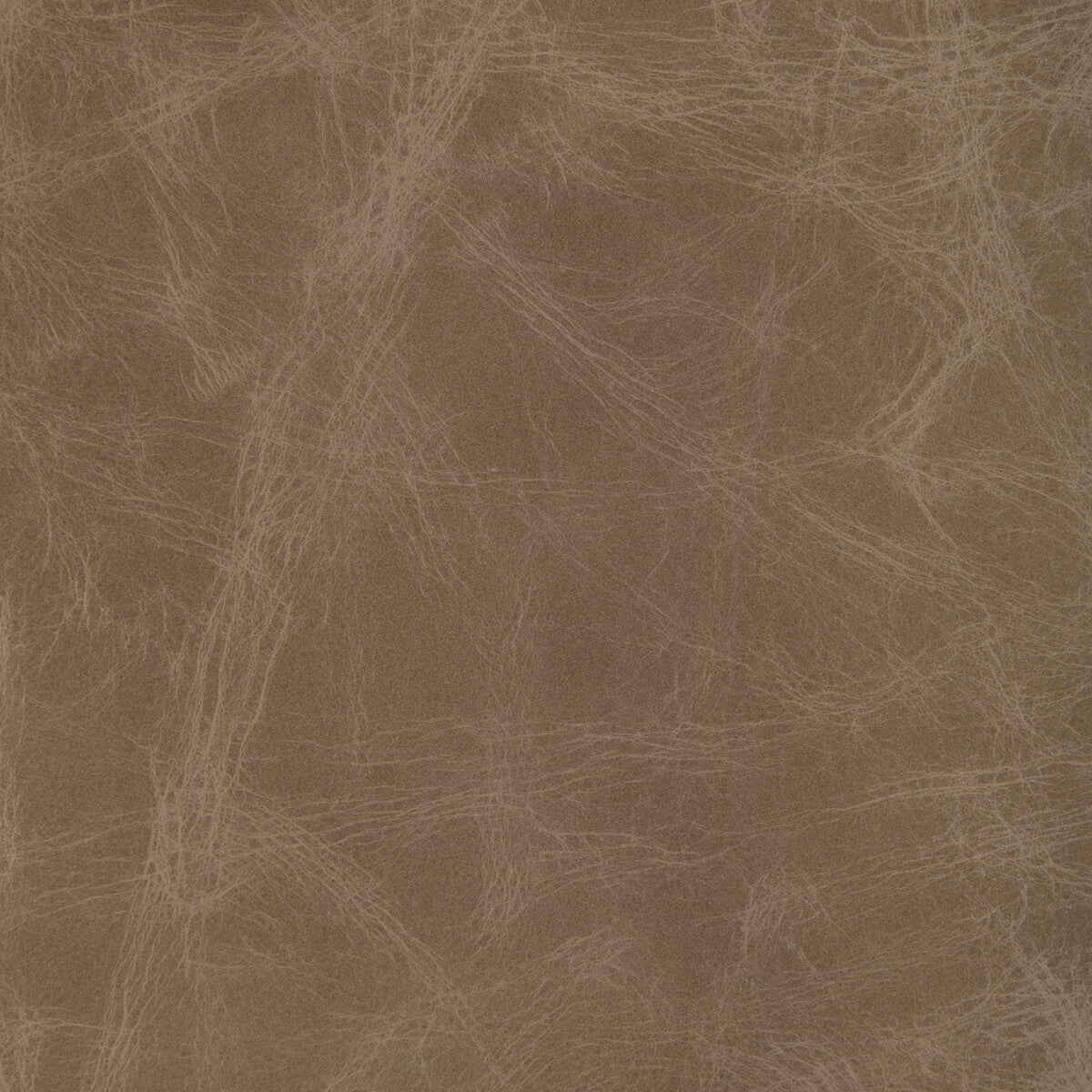 KRAVET DESIGN L-OVINE.FAWN.0 KRAVET DESIGN L-OVINE-FAWN Fabric - Eade's Wallpaper