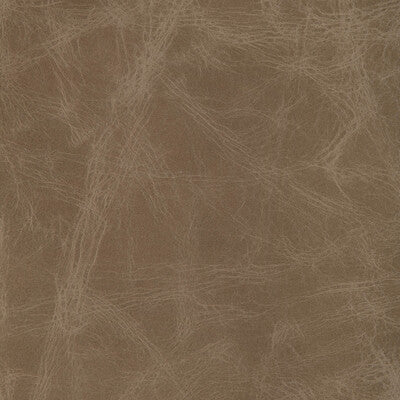 KRAVET DESIGN L-OVINE.FAWN.0 KRAVET DESIGN L-OVINE-FAWN Fabric - Eade's Wallpaper