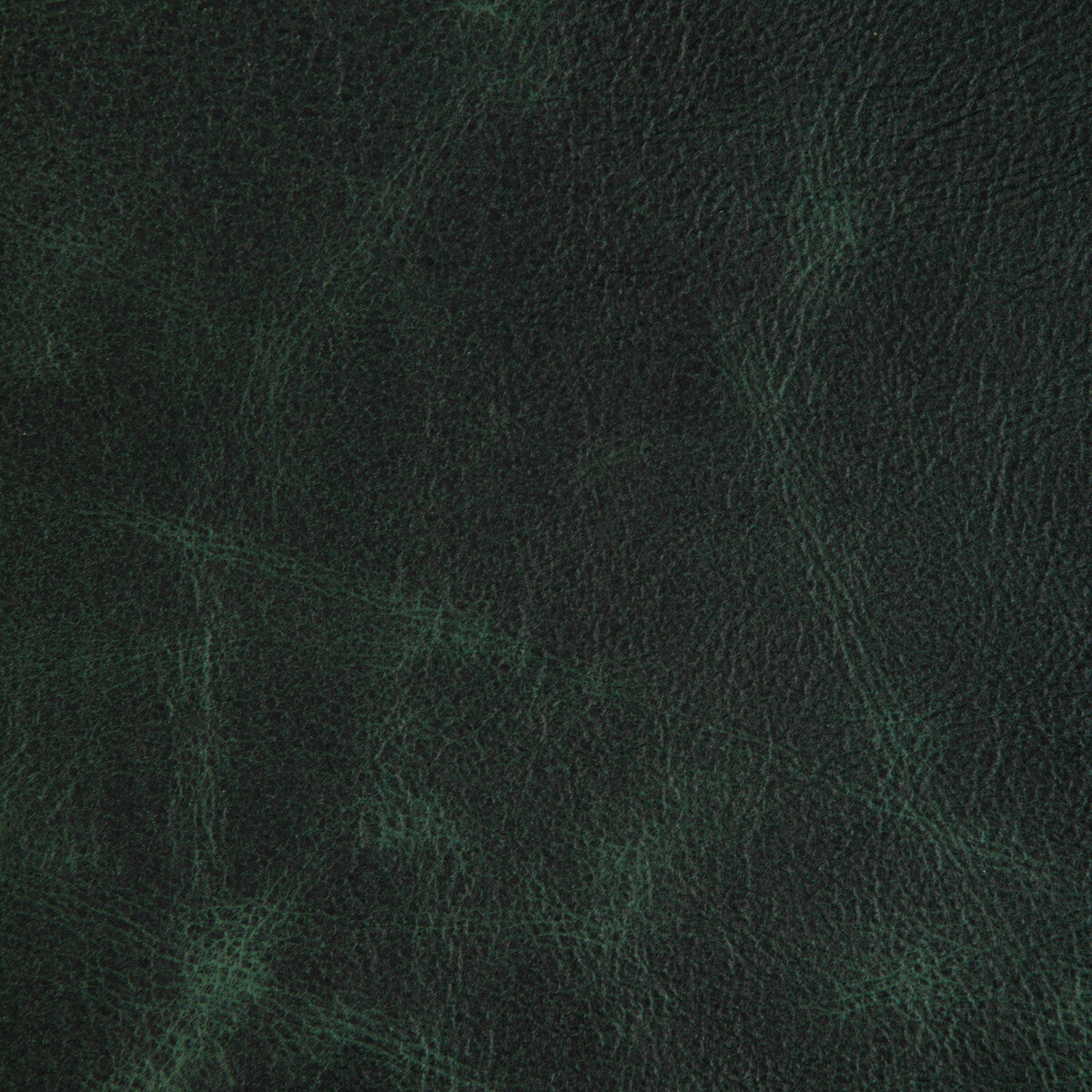 KRAVET DESIGN L-OVINE.HUNTER.0 KRAVET DESIGN L-OVINE-HUNTER Fabric - Eade's Wallpaper