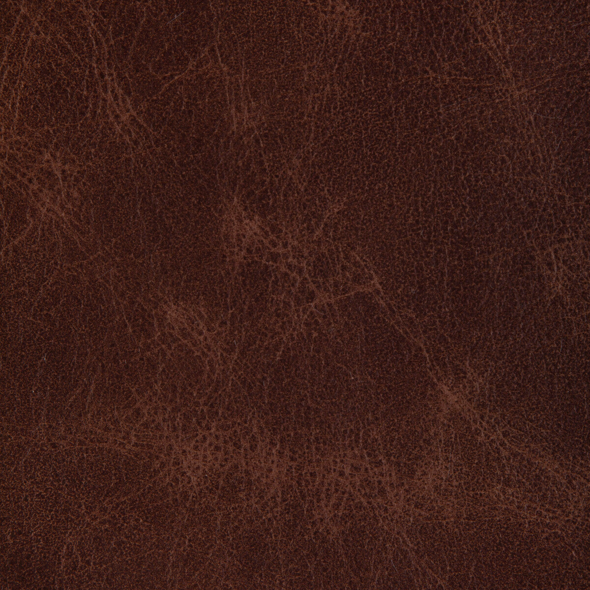 KRAVET DESIGN L-OVINE.RUSSET.0 KRAVET DESIGN L-OVINE-RUSSET Fabric - Eade's Wallpaper
