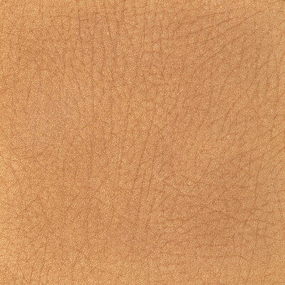 KRAVET DESIGN L-PAMPAS.DEER.0 KRAVET DESIGN L-PAMPAS-DEER Fabric - Eade's Wallpaper