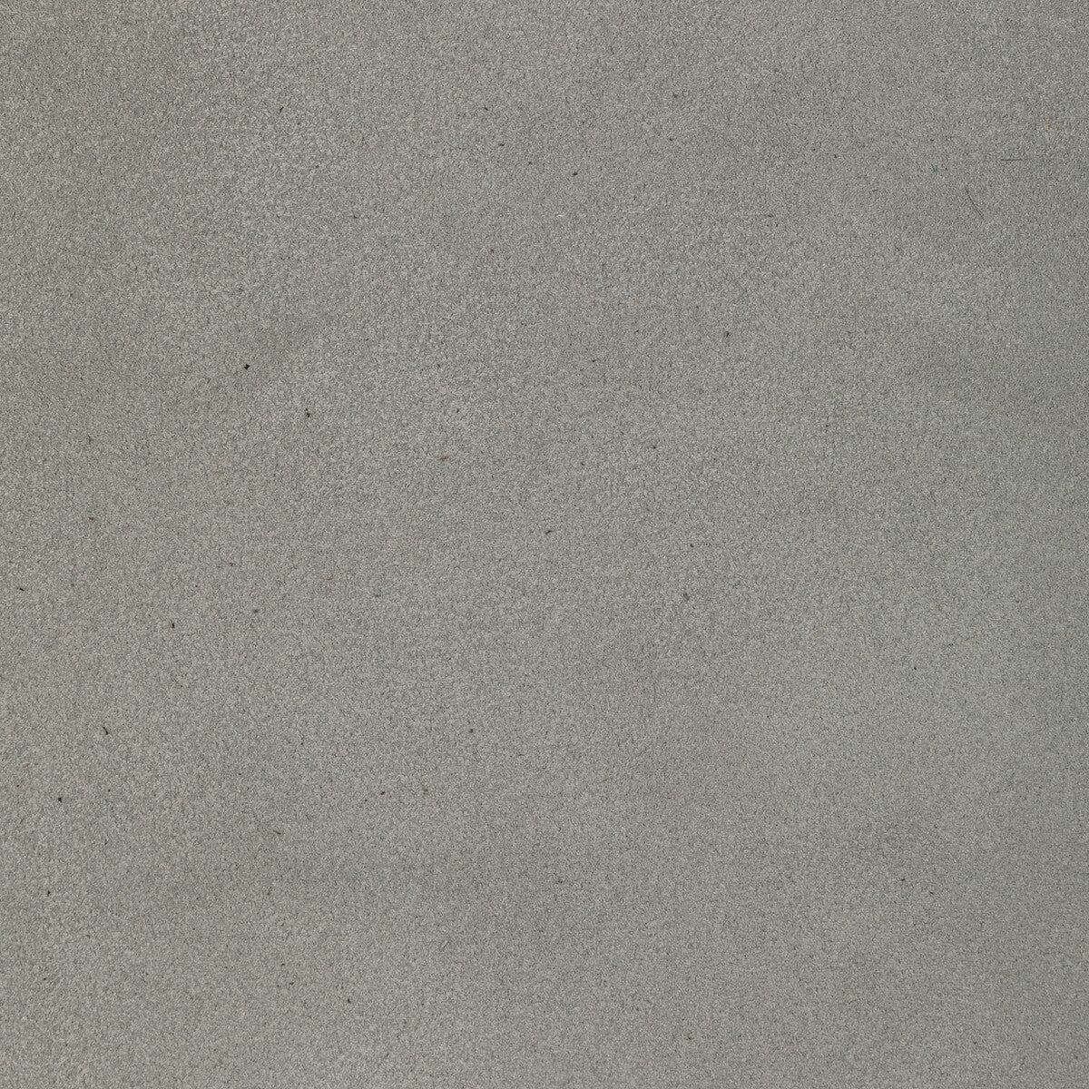 KRAVET DESIGN L-PERCHA.RAIN.0 KRAVET DESIGN L-PERCHA-RAIN Fabric - Eade's Wallpaper