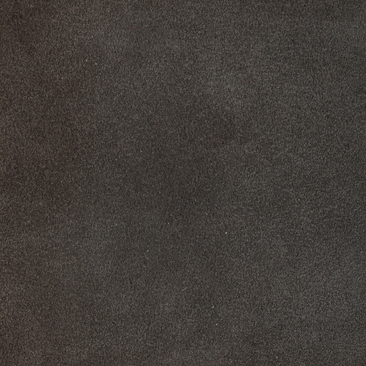 KRAVET DESIGN L-PERCHA.SHADOW.0 KRAVET DESIGN L-PERCHA-SHADOW Fabric - Eade's Wallpaper