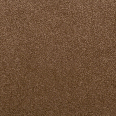 KRAVET DESIGN L-PORTOFIN.BROWNSTONE.0 KRAVET DESIGN L-PORTOFIN-BROWNSTONE Fabric - Eade's Wallpaper