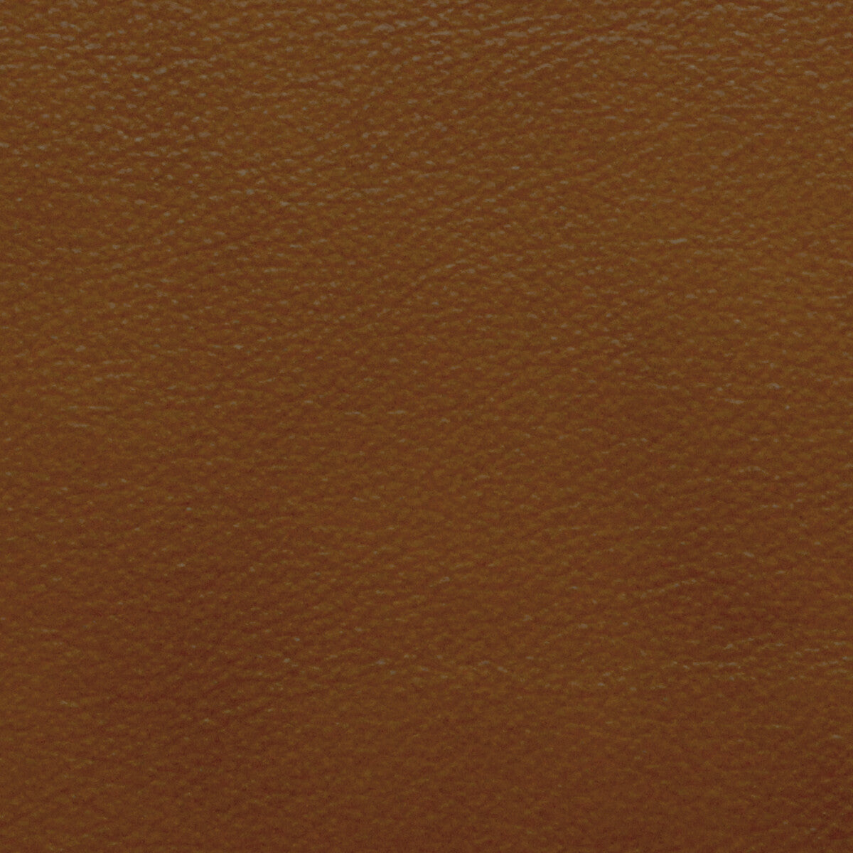 KRAVET DESIGN L-PORTOFIN.COGNAC.0 KRAVET DESIGN L-PORTOFIN-COGNAC Fabric - Eade's Wallpaper