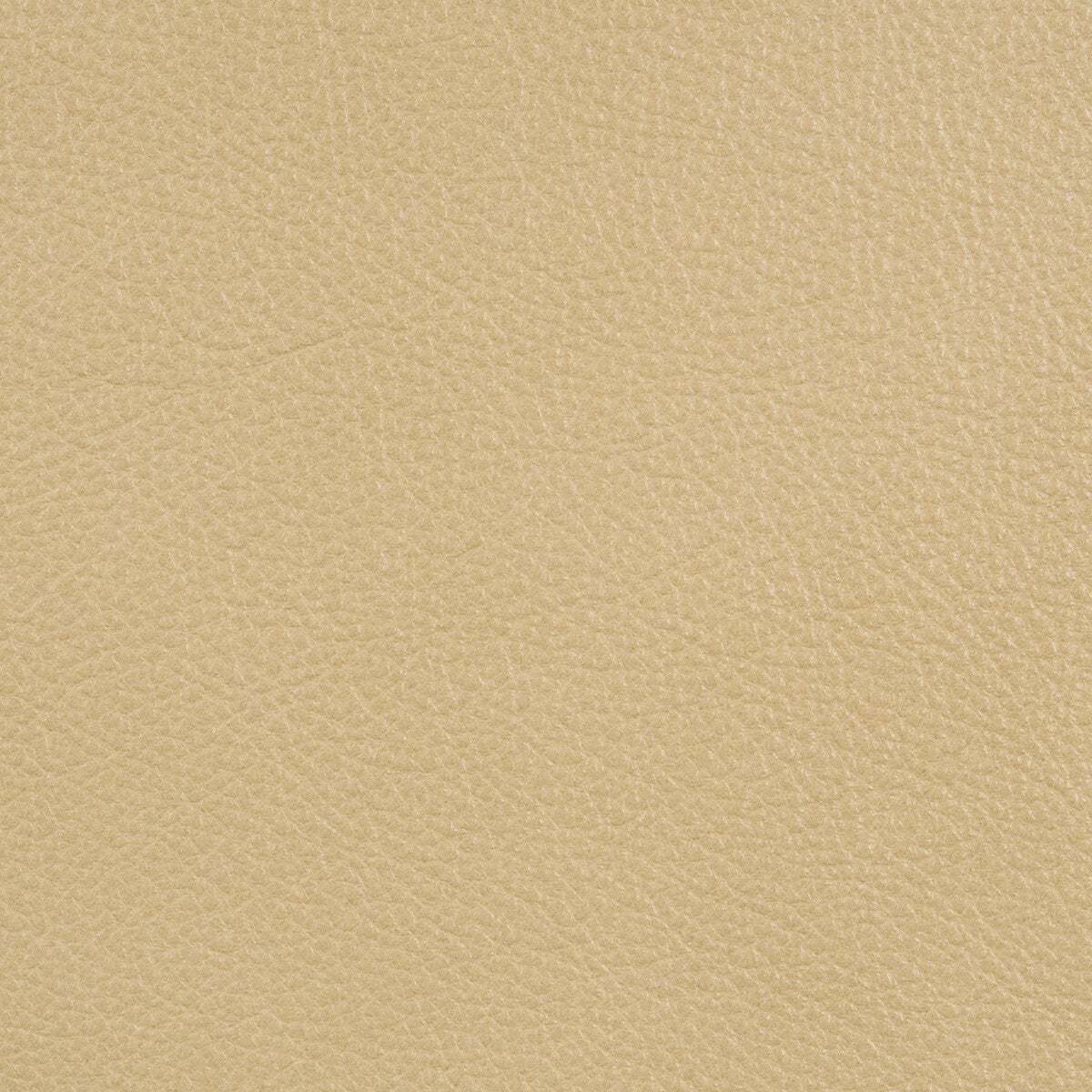 KRAVET DESIGN L-PORTOFIN.WHITE SAND.0 KRAVET DESIGN L-PORTOFIN-WHITE SAND Fabric - Eade's Wallpaper