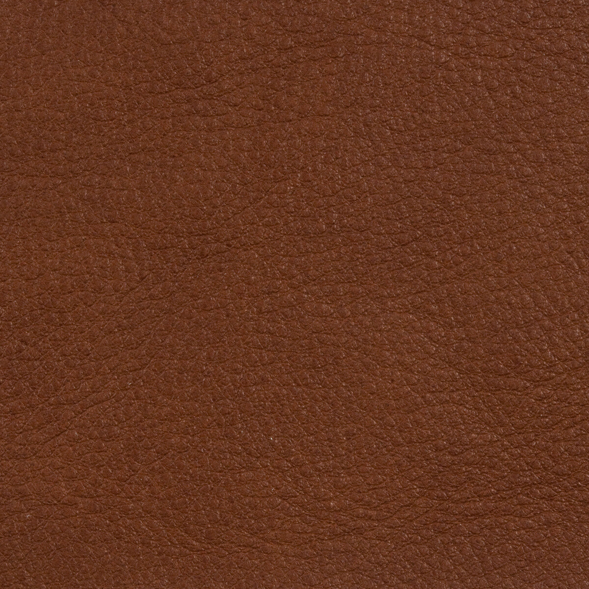 KRAVET DESIGN L-RANGE.COFFEE.0 L-RANGE COFFEE Fabric - Eade's Wallpaper