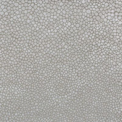 KRAVET COUTURE L-SINAR.SILVER.0 L-SINAR SILVER Fabric - Eade's Wallpaper