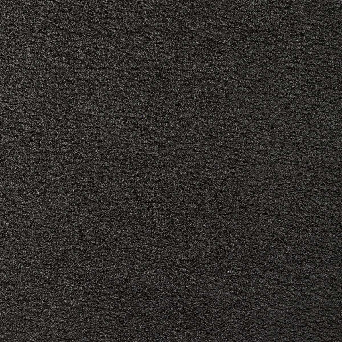 KRAVET DESIGN L-SONORAN.CHARCOAL.0 KRAVET DESIGN L-SONORAN-CHARCOAL Fabric - Eade's Wallpaper