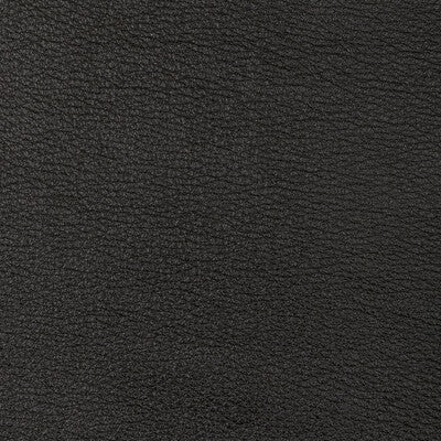 KRAVET DESIGN L-SONORAN.CHARCOAL.0 KRAVET DESIGN L-SONORAN-CHARCOAL Fabric - Eade's Wallpaper