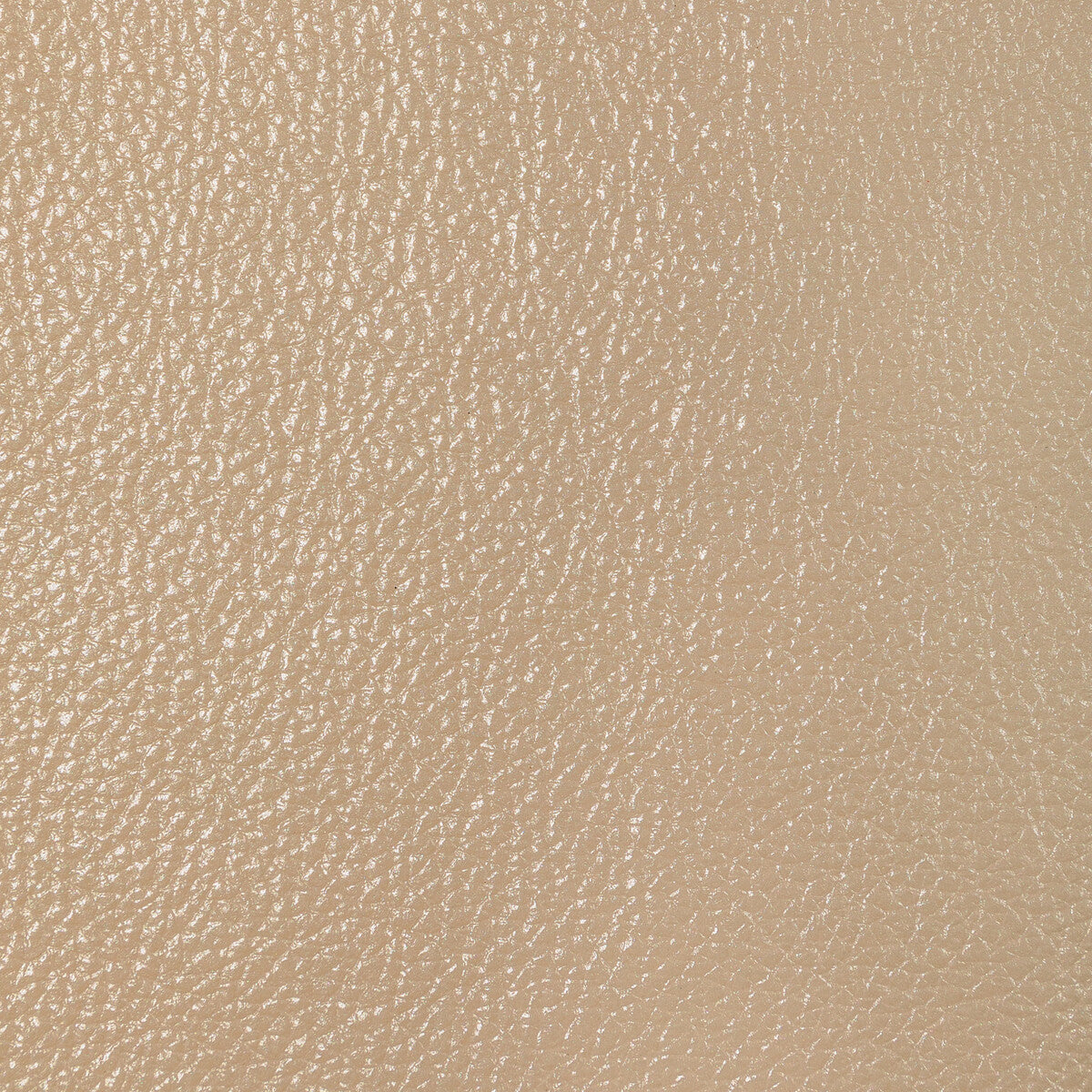 KRAVET DESIGN L-SUGARITE.DEWY.0 KRAVET DESIGN L-SUGARITE-DEWY Fabric - Eade's Wallpaper