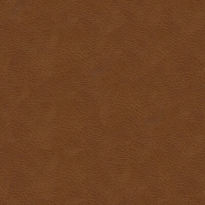 KRAVET DESIGN L-TEXAS.BRANDY.0 KRAVET DESIGN L-TEXAS-BRANDY Fabric - Eade's Wallpaper