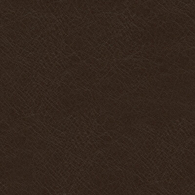 KRAVET DESIGN L-TIMELESS.CHOCOLATE.0 KRAVET DESIGN L-TIMELESS-CHOCOLATE Fabric - Eade's Wallpaper