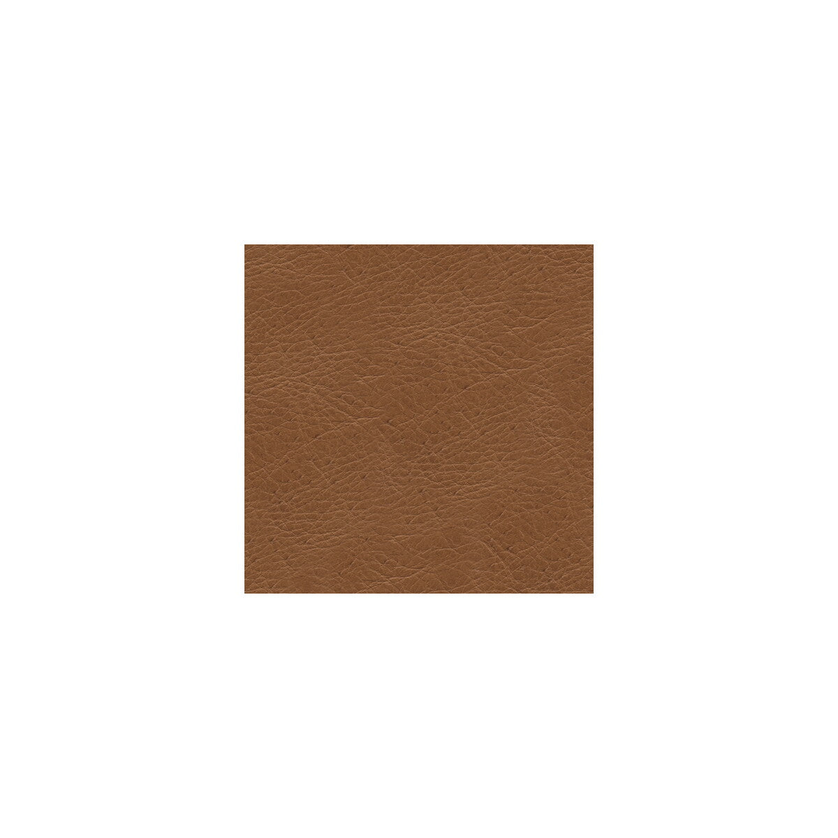 KRAVET DESIGN L-TIMELESS.DESERT.0 KRAVET DESIGN L-TIMELESS-DESERT Fabric - Eade's Wallpaper