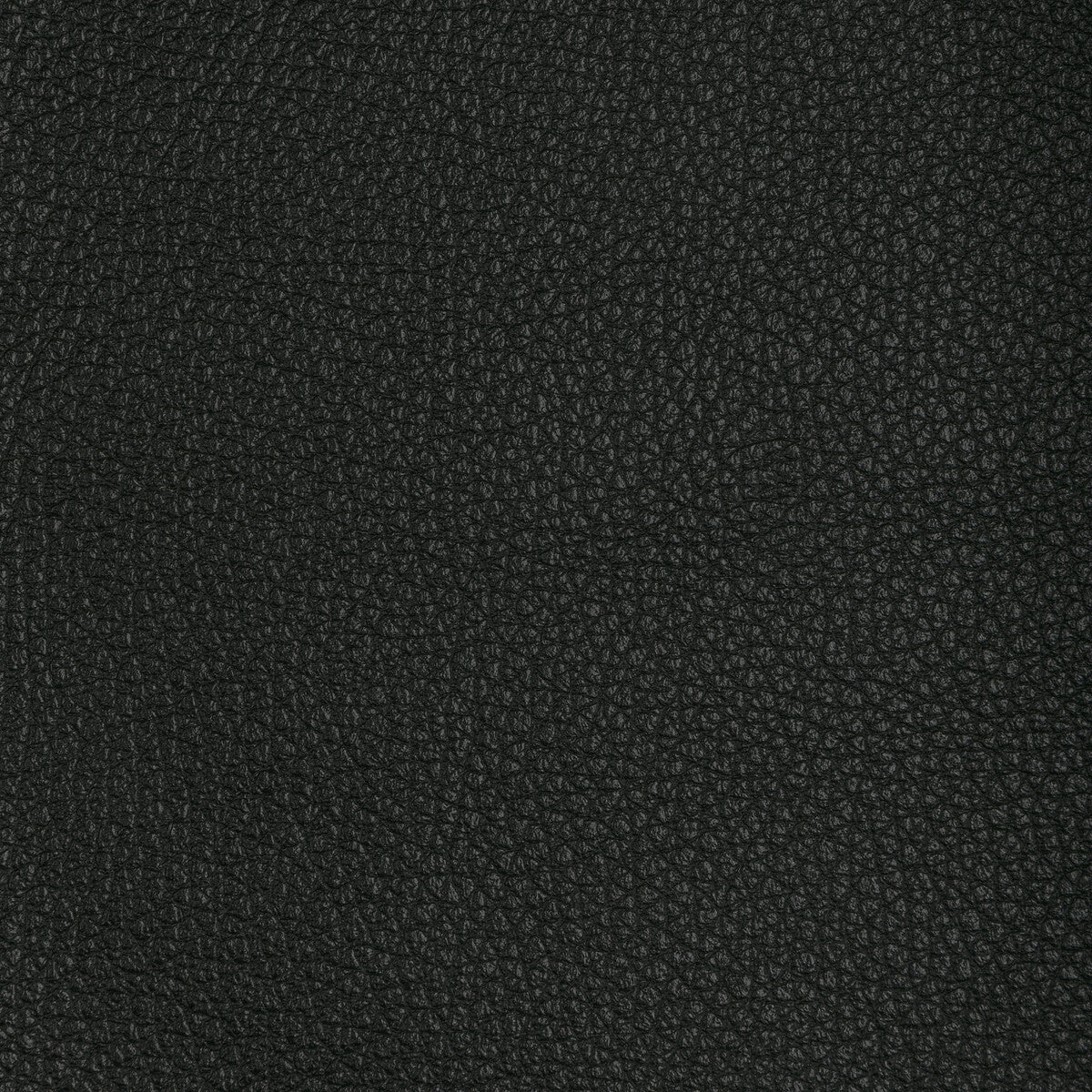 KRAVET DESIGN L-TUCUM.BLACK.0 KRAVET DESIGN L-TUCUM-BLACK Fabric - Eade's Wallpaper